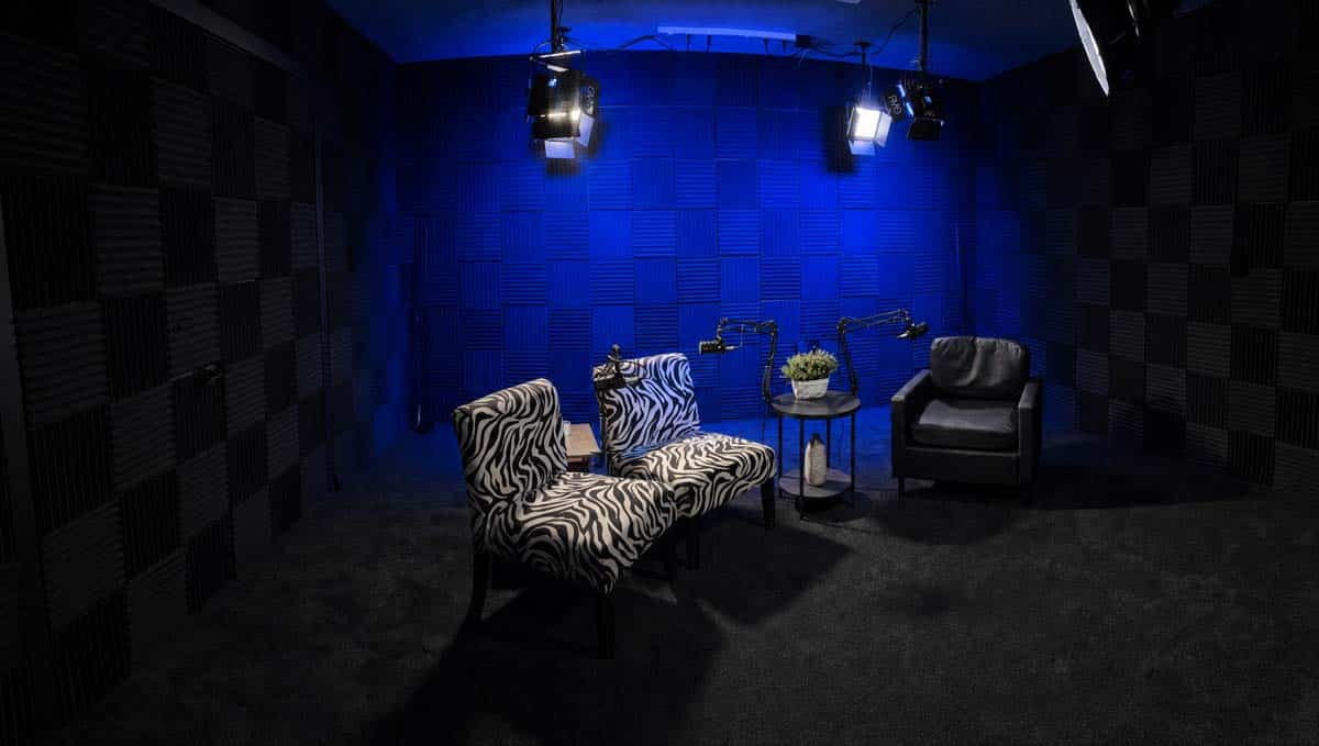 Podcast interview setup in a blue acoustics studio: two zebra-pattern chairs facing a small table with mic arms and a potted plant, a black armchair to the right.